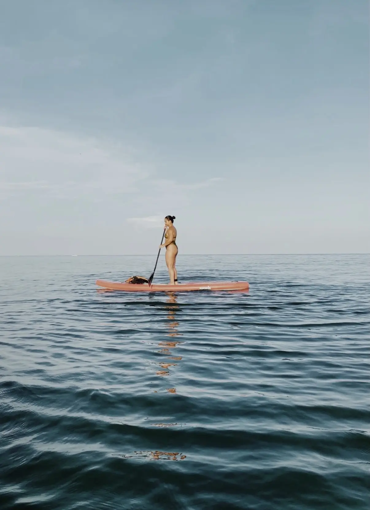 Paddle Board